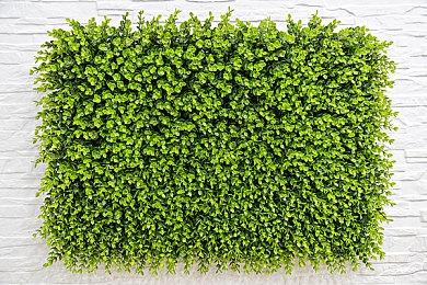 锅从天上来 Xbox并未介入《红霞岛》开发